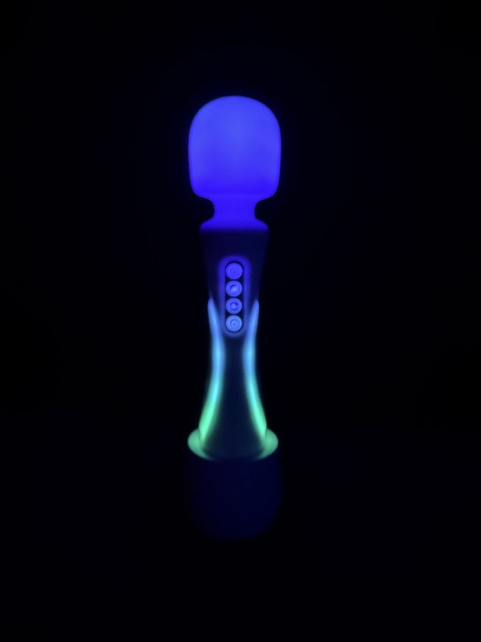 Paradise Pleasure Products - Illumination The Wand - White