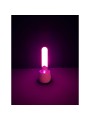 Paradise Pleasure Products - Illumination The Rabbit - Wit