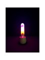 Paradise Pleasure Products - Illumination The Rabbit - Wit