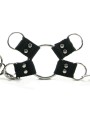 Extreme Hog-Tie Kit