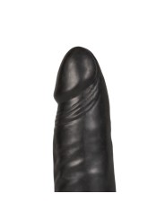 Anal Fantasy Double Trouble