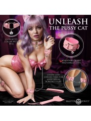 Master Series - Kitty Bondage Set - Roze