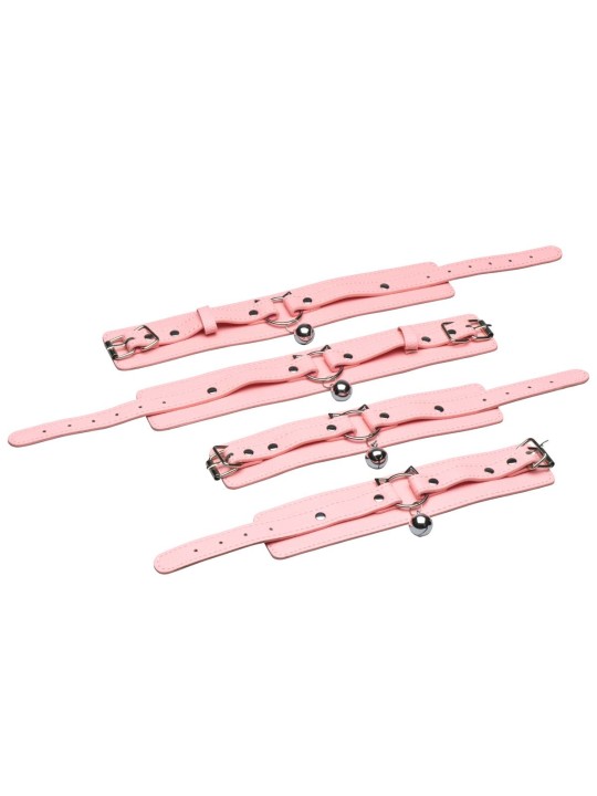 Master Series - Kitty Bondage Set - Roze