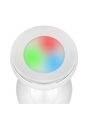 Easytoys Anal Collection - Buttplug LED Medium - Zilver