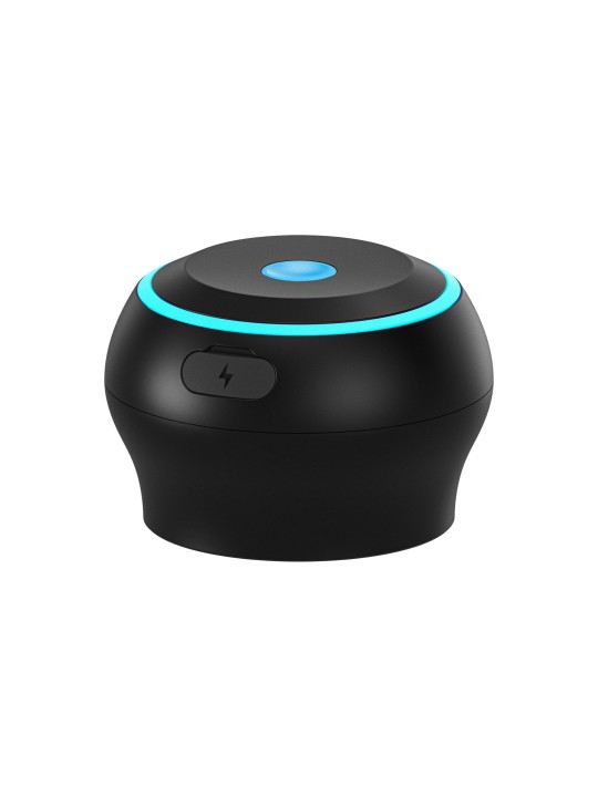 Kiiroo – Control Stroker Controller – Black