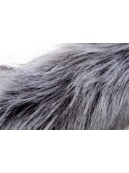TAILZ - Grey Wolf Tail Plug & Ears Set