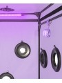 Secretdome – SCANDALE – Purple