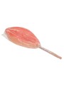 Out of the Blue - Vagina Lolly - Strawberry Flavor