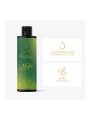 BodyGliss – Massage Oil and Lubricant in 1 Minty Mojito – 150 ml