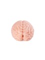 XTC Japan – Brain Hacker DX Masturbator – Peach