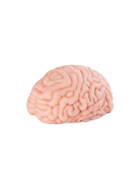 XTC Japan – Brain Hacker DX Masturbator – Peach