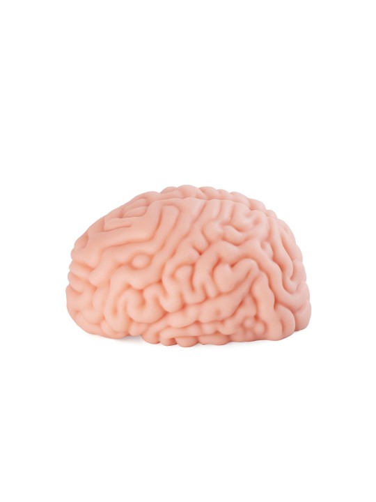 XTC Japan – Brain Hacker DX Masturbator – Peach