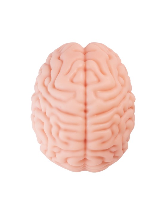 XTC Japan – Brain Hacker DX Masturbator – Peach