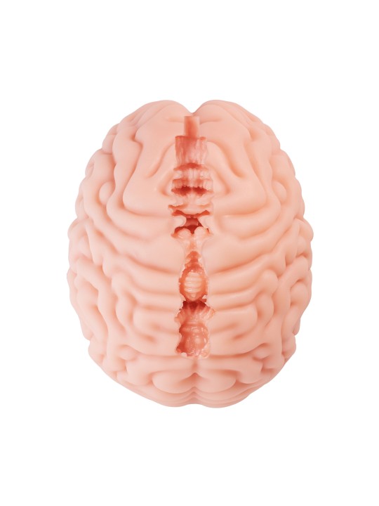 XTC Japan – Brain Hacker DX Masturbator – Peach