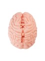 XTC Japan – Brain Hacker DX Masturbator – Peach