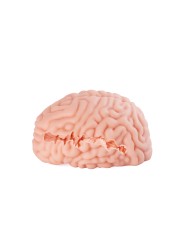 XTC Japan – Brain Hacker DX Masturbator – Peach