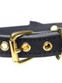 Golden Kitty Collar With Cat Bell - Black/Gold