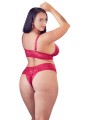 Cottelli Collection - Lace Bra Set With Open Crotch