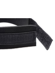 Frisky Leash and Collar Set