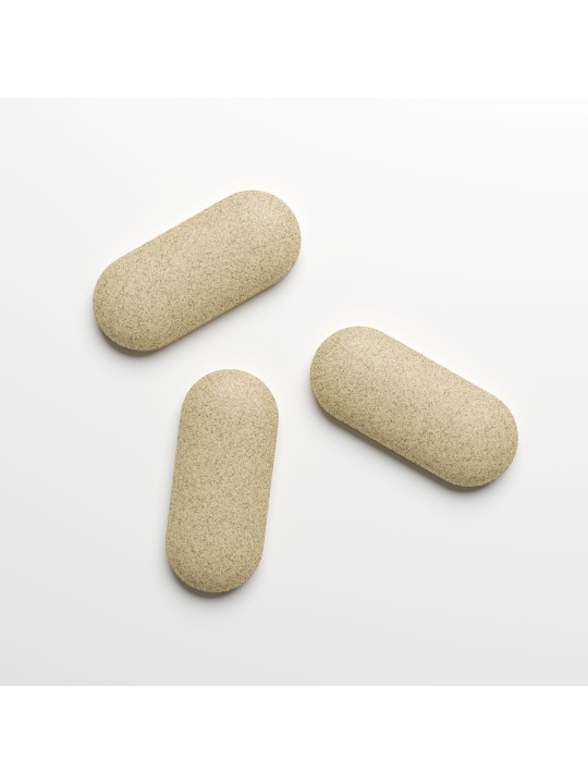 Penis XL Pillen