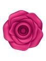 Satisfyer Pro 2 Classic Blossom