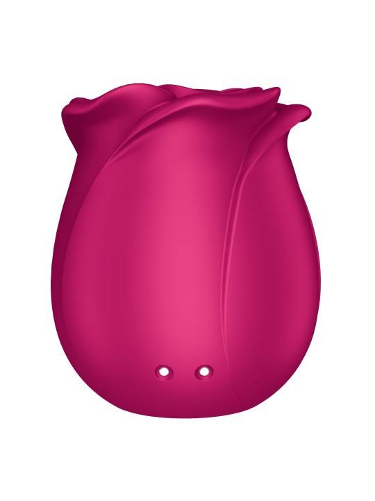 Satisfyer Pro 2 Classic Blossom